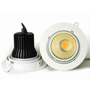 flow line Cob Down Light